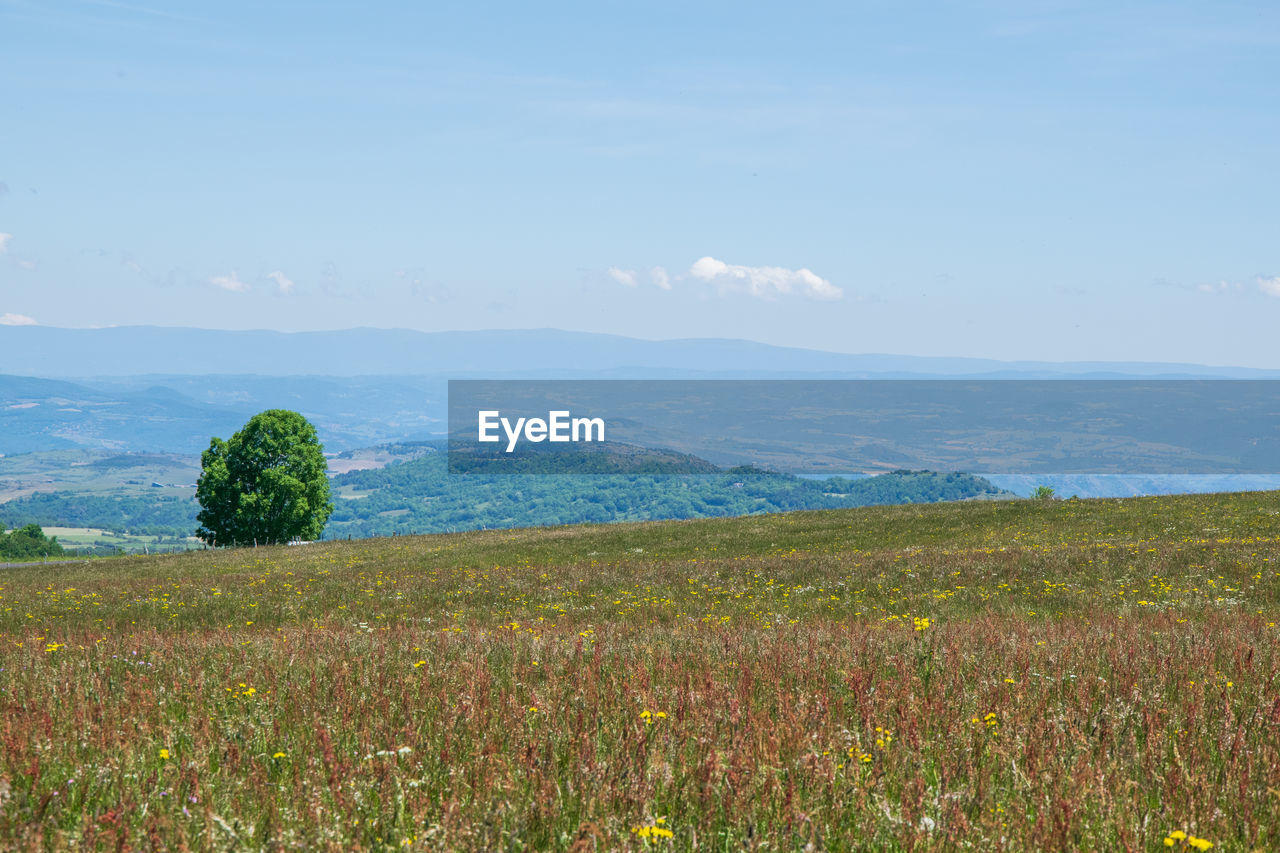 SCENIC VIEW OF LAND AND MOUNTAINS AGAINST SKY