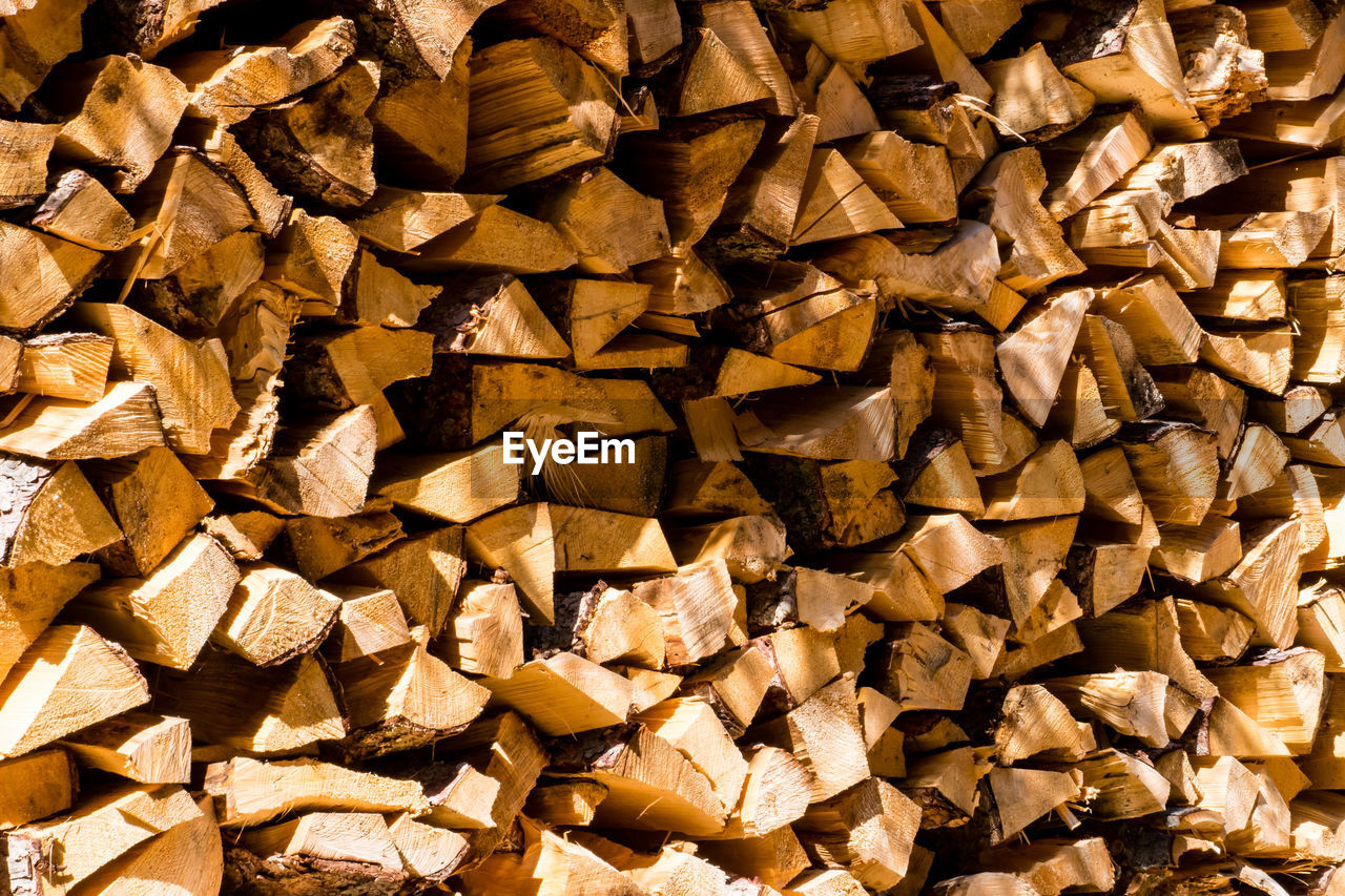 STACK OF LOGS IN FOREST