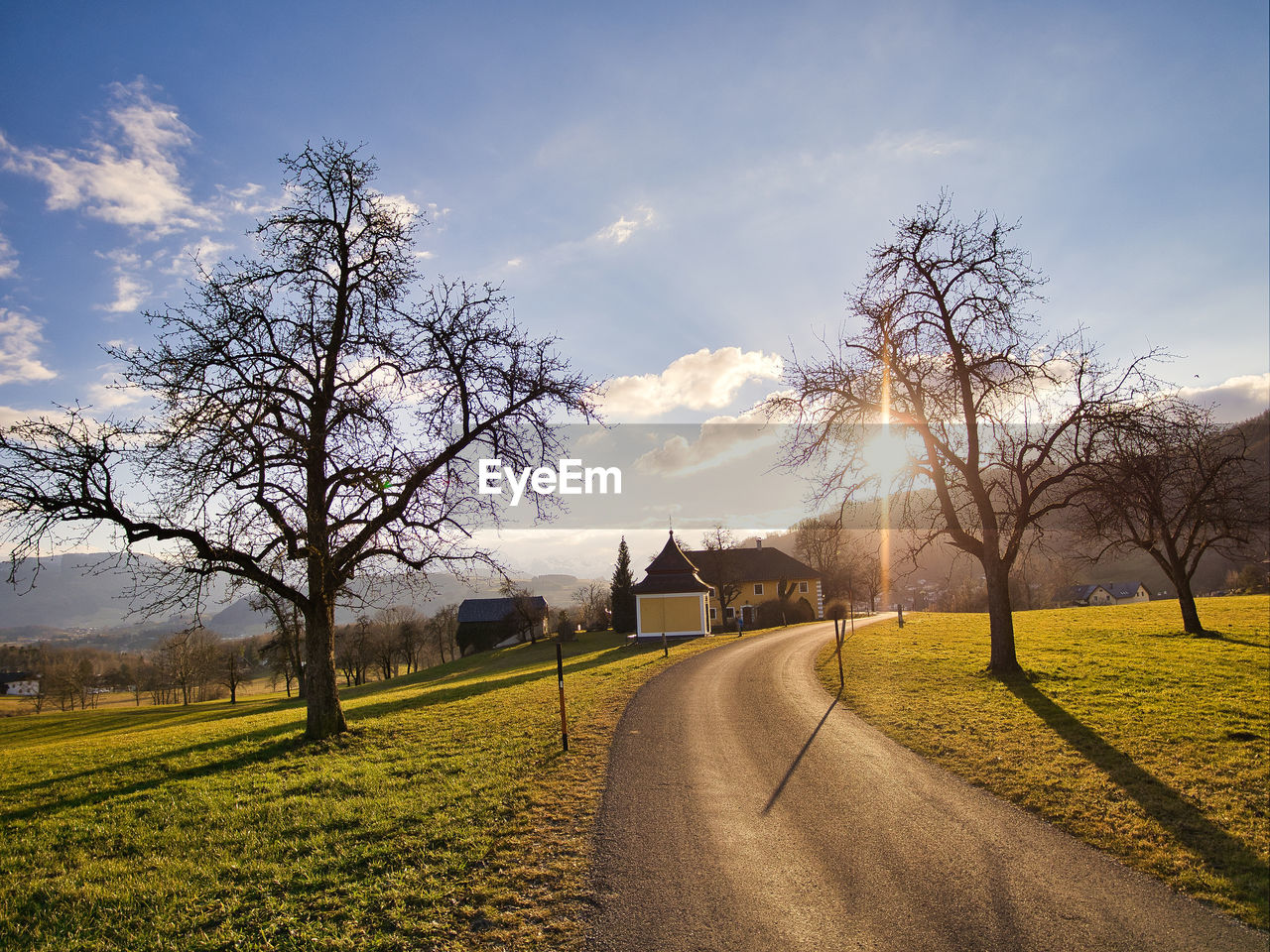 Road by bare trees on field against sky