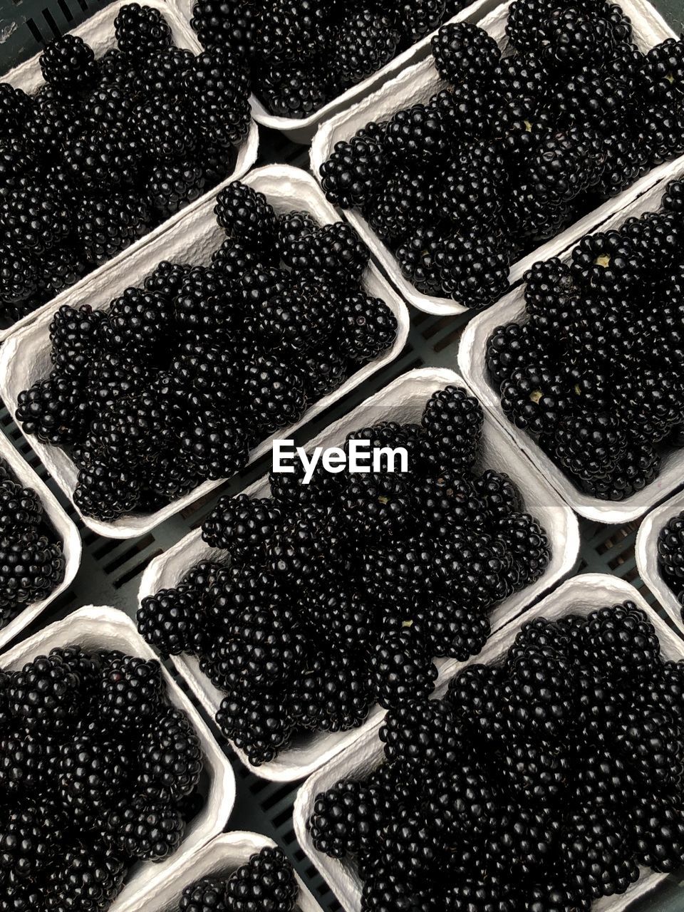 Full frame shot of abstract background with black berries 