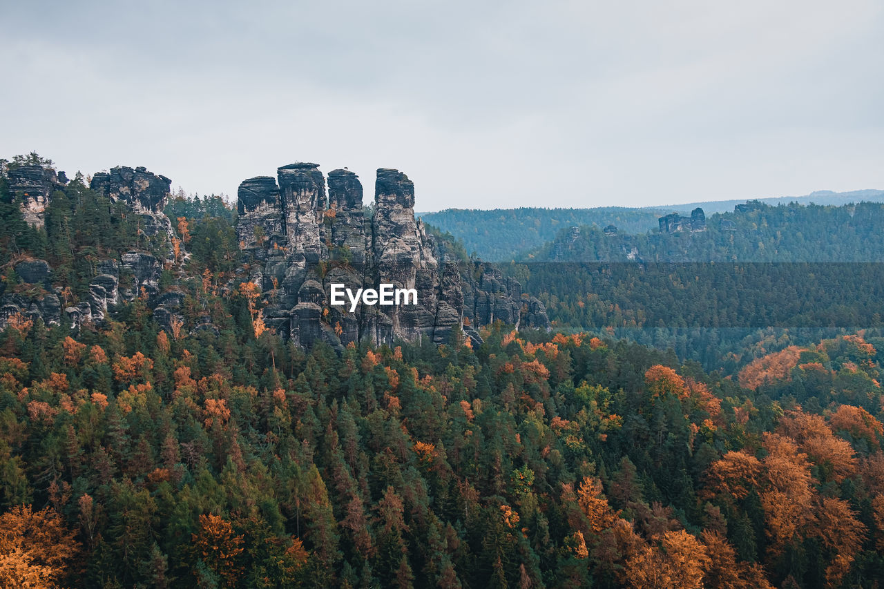 Panoramic view of trees and mountains against sky