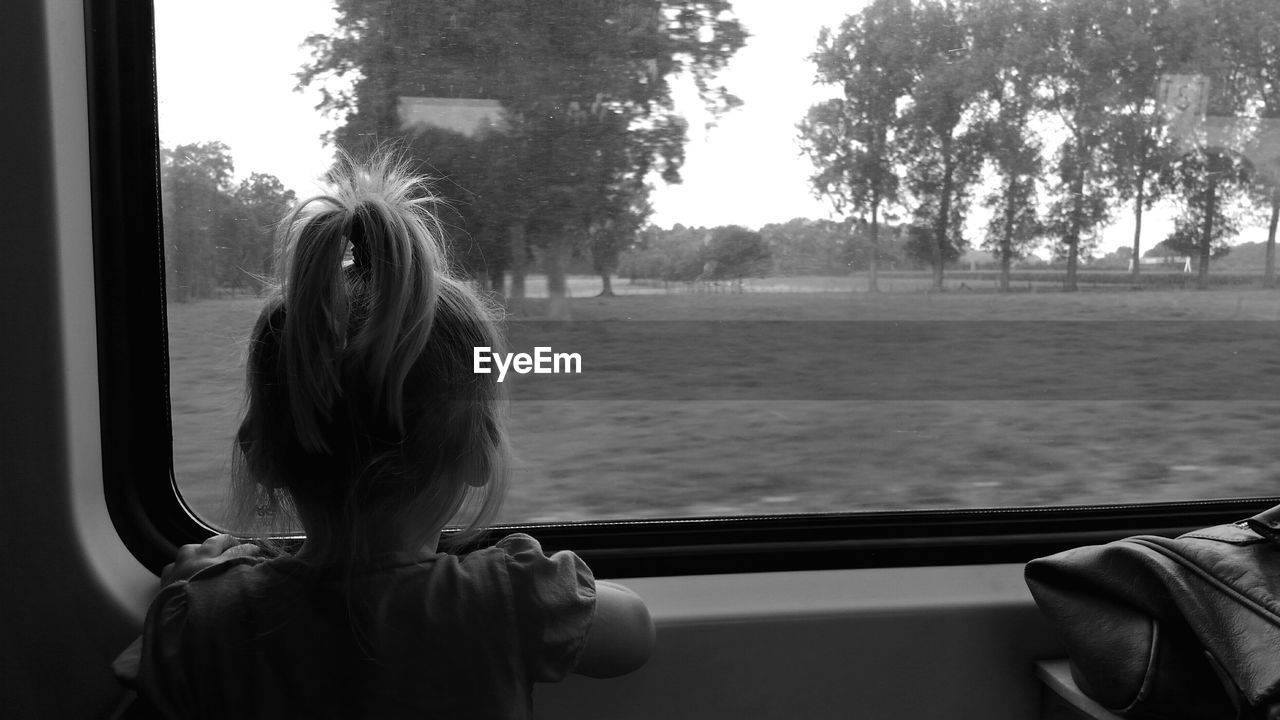 Rear view of girl with ponytail looking at trees through train window