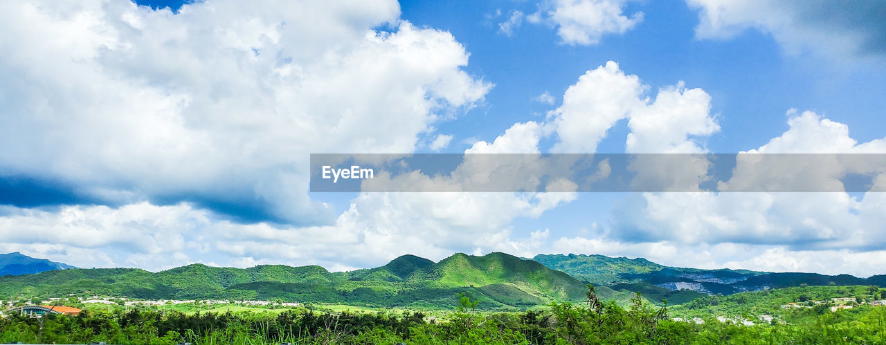 PANORAMIC VIEW OF LANDSCAPE AND TREES AGAINST SKY