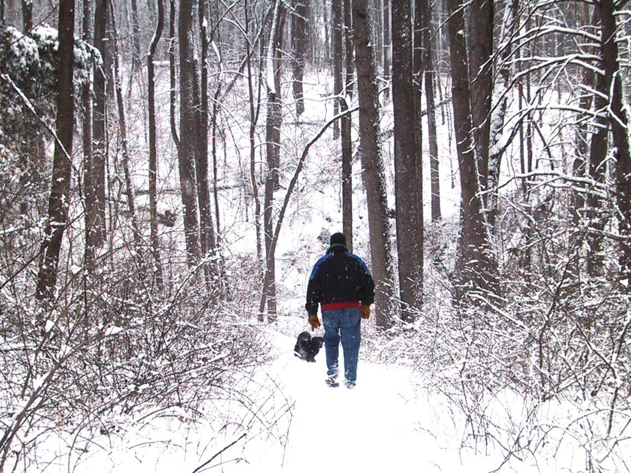 REAR VIEW OF MAN WALKING IN FOREST