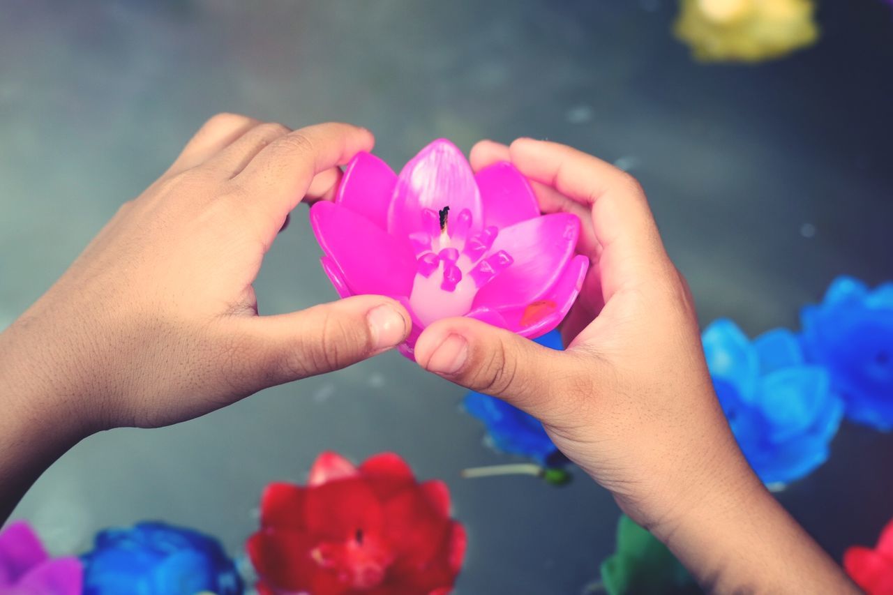 CLOSE-UP OF HAND HOLDING PINK ROSES