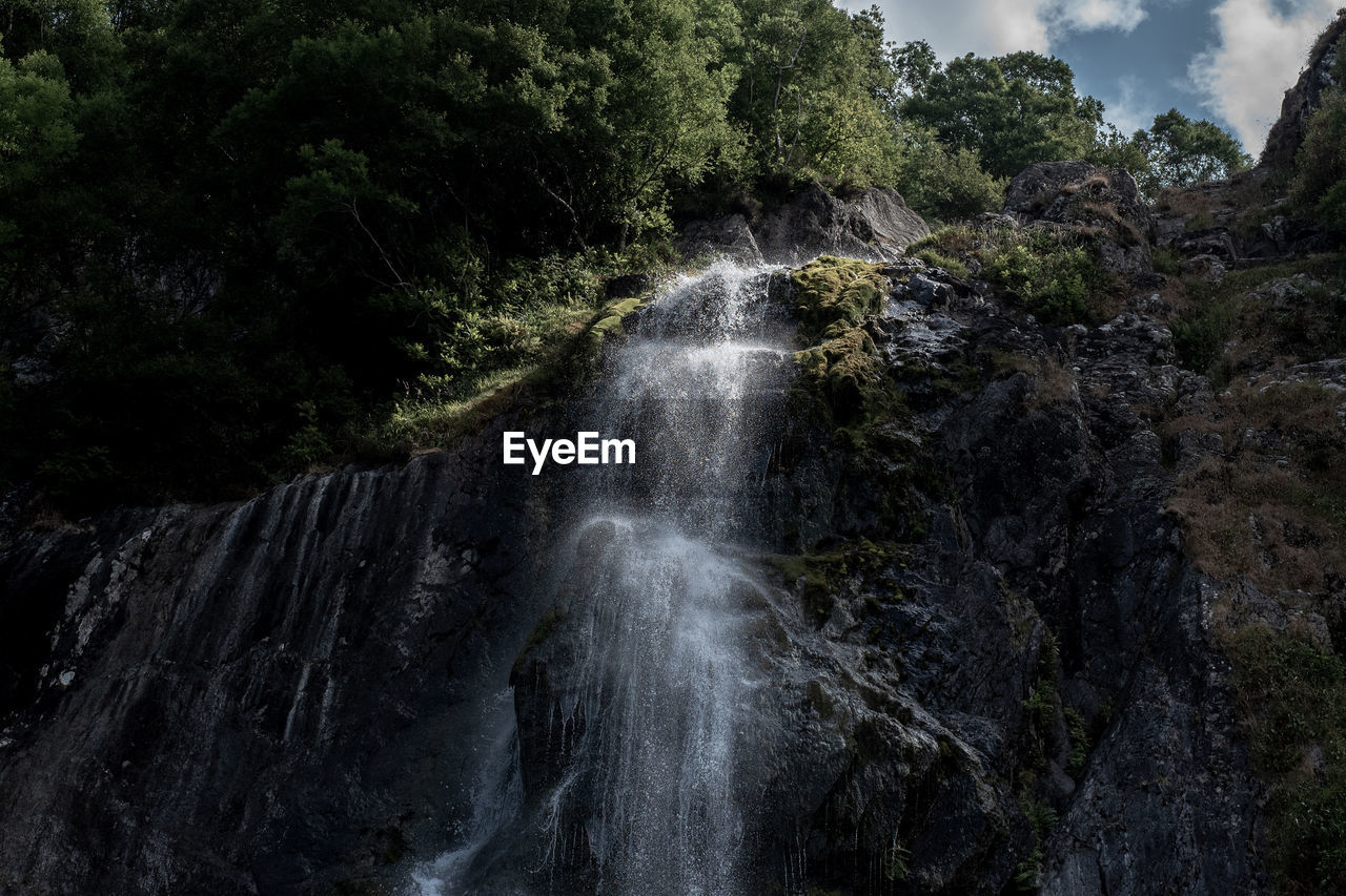 SCENIC VIEW OF WATERFALL AGAINST TREES
