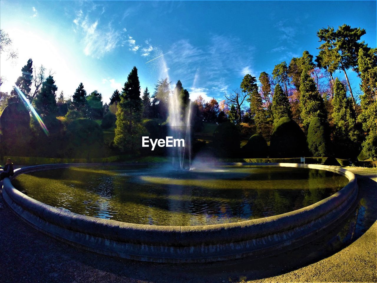 WATER FOUNTAIN AGAINST TREES