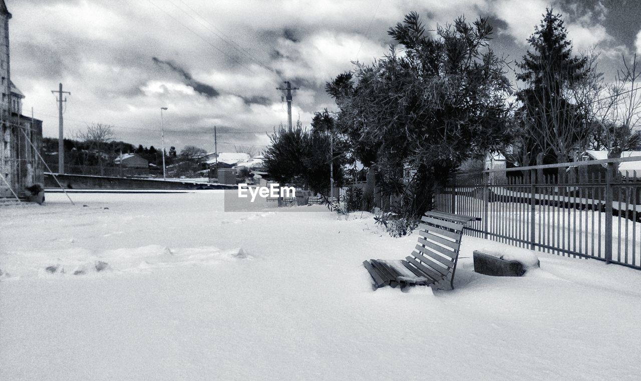 TREES ON SNOW COVERED LANDSCAPE