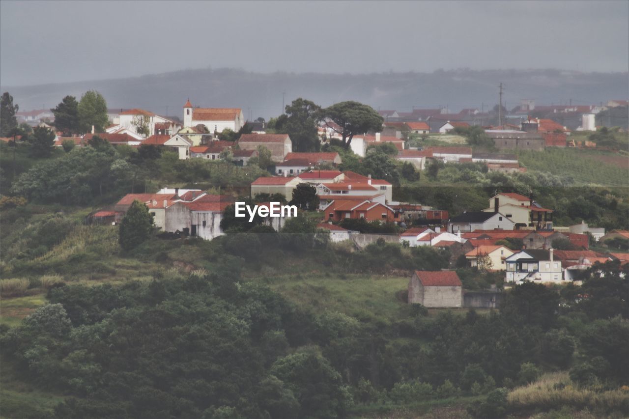 HIGH ANGLE VIEW OF HOUSES AND TREES ON LANDSCAPE