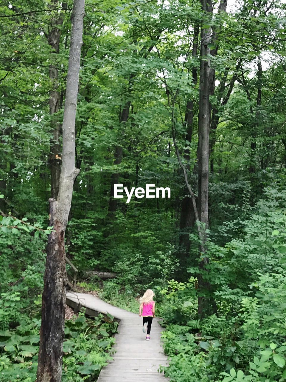 REAR VIEW OF WOMAN WALKING ON FOOTPATH AMIDST PLANTS IN FOREST