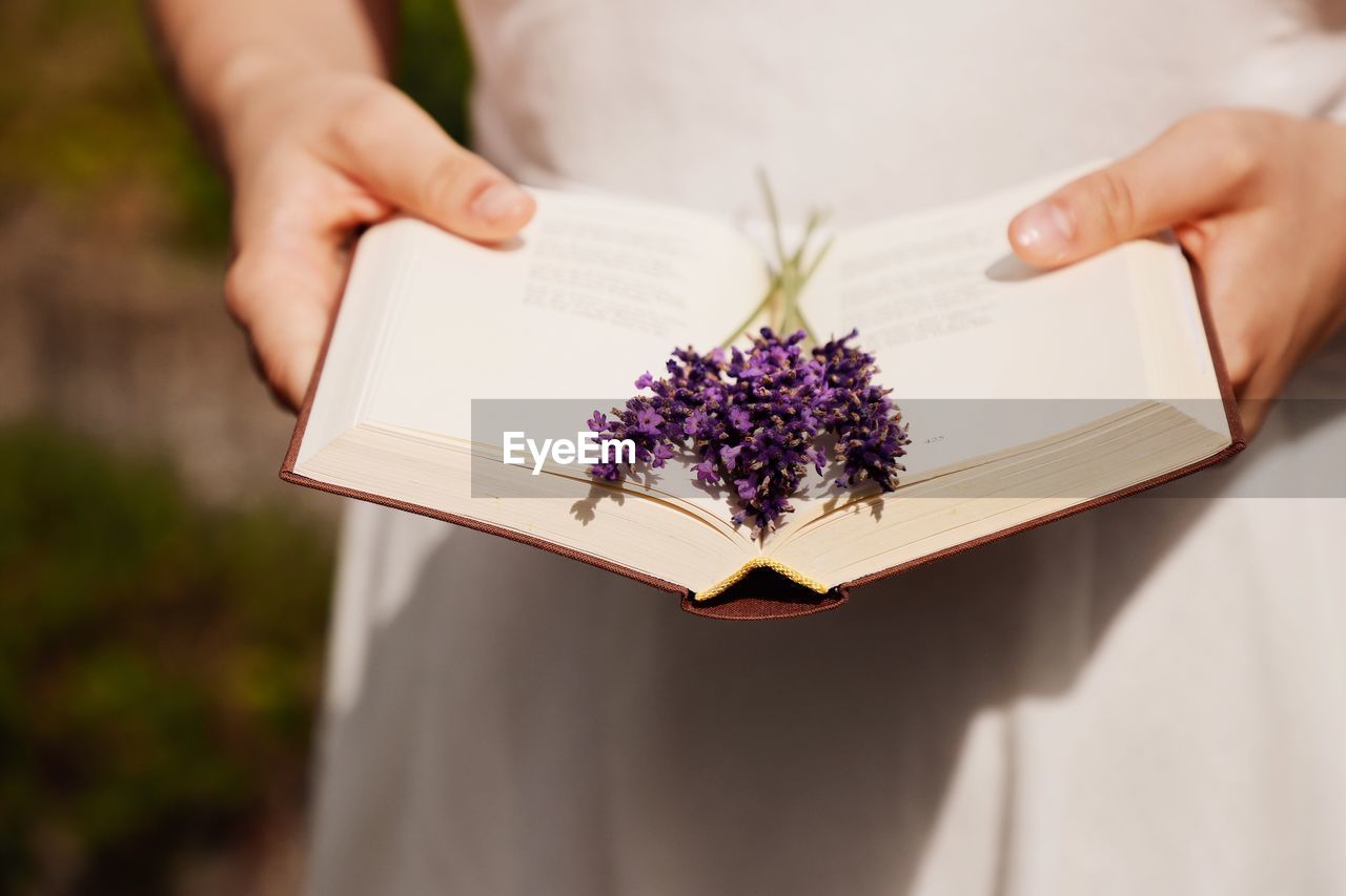 Midsection of woman holding purple flowers in book