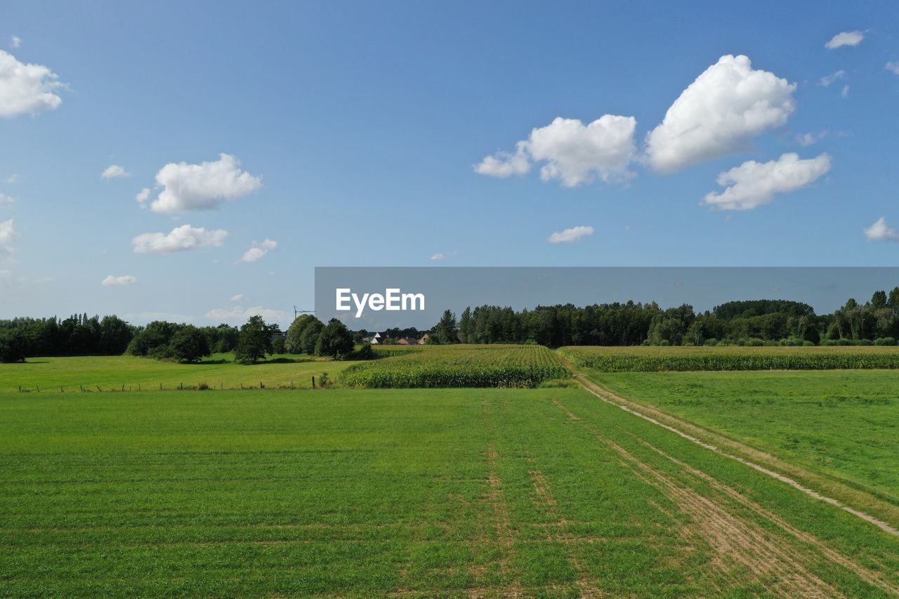 SCENIC VIEW OF FARMS AGAINST SKY