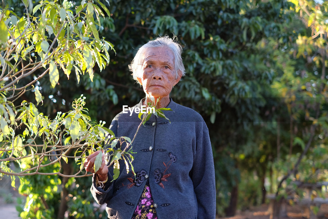 Poor thai old woman in northeast thailand