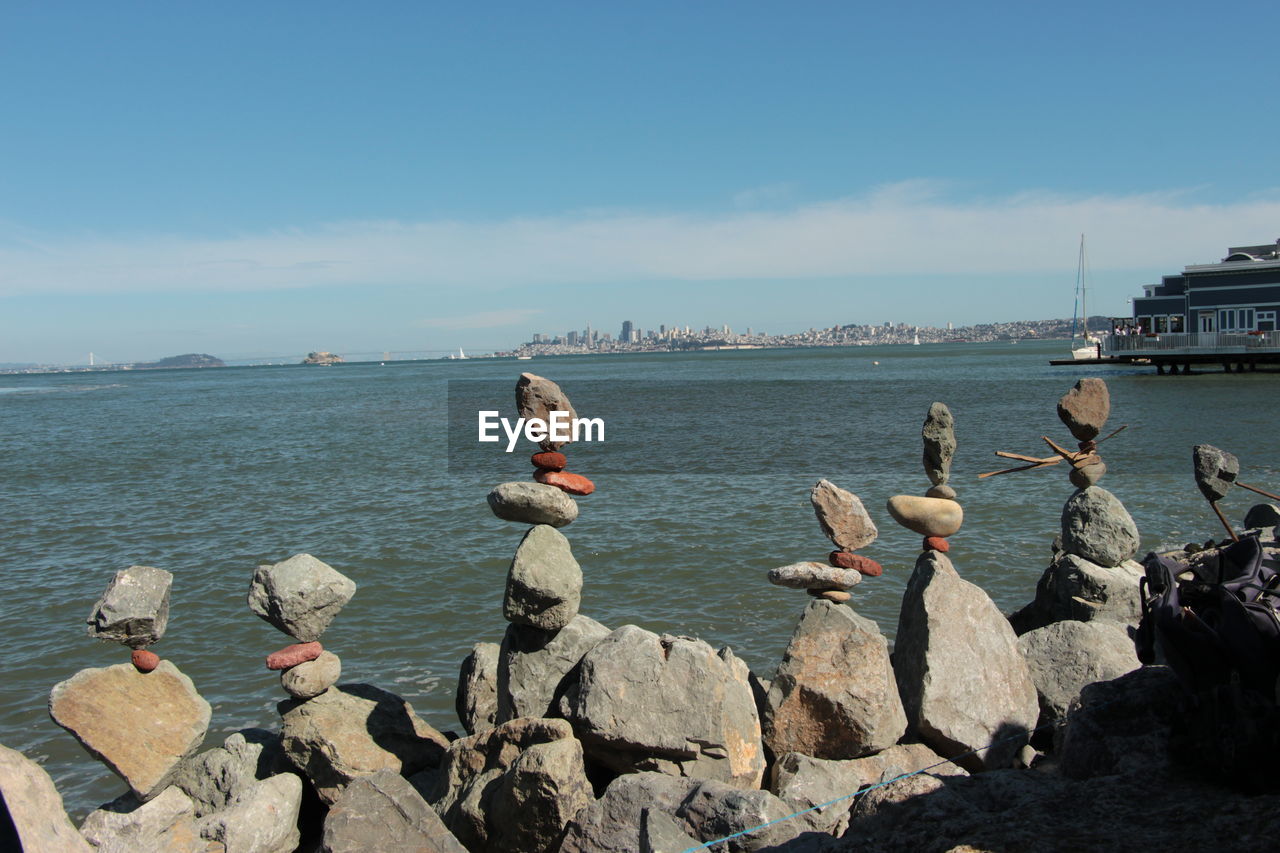 Ducks on rock by sea against sky