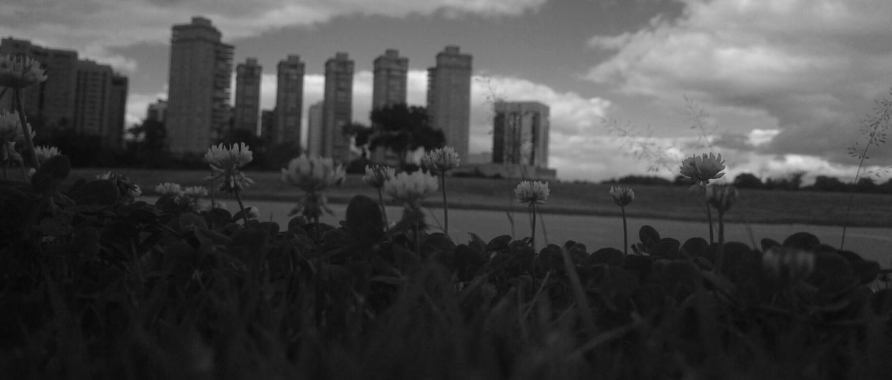 VIEW OF CLOUDY SKY OVER BUILDINGS