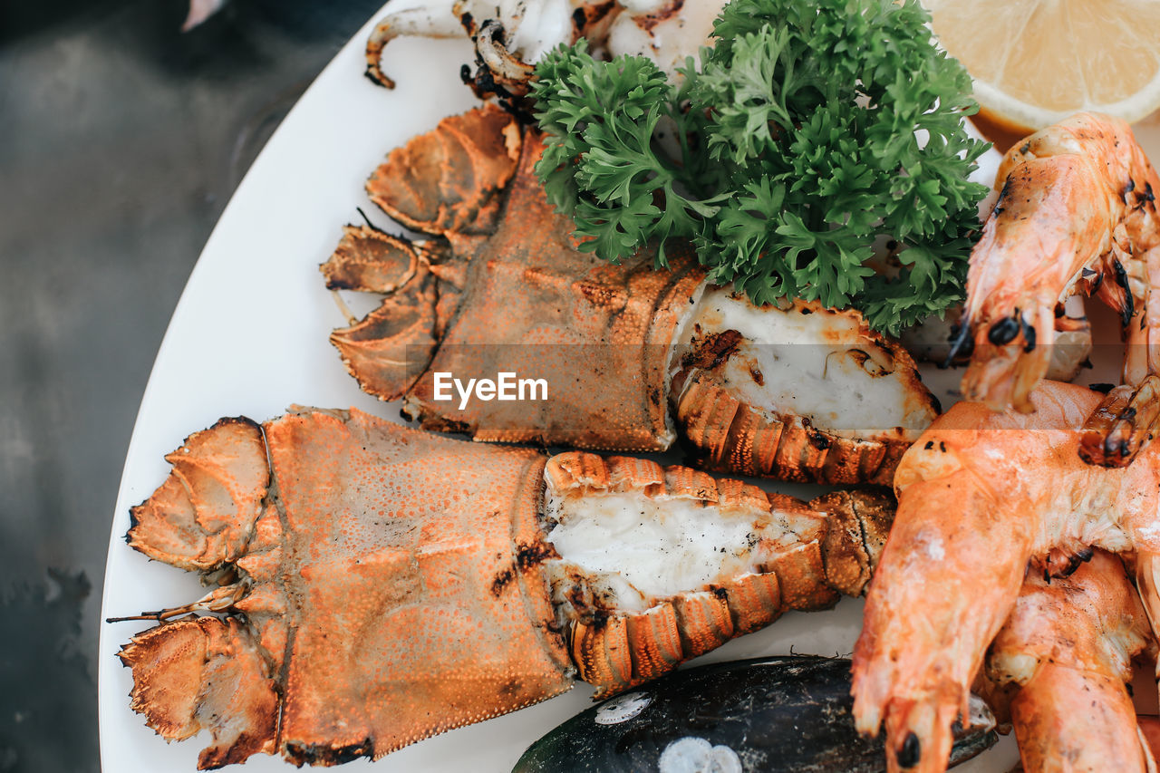 HIGH ANGLE VIEW OF MEAT IN PLATE