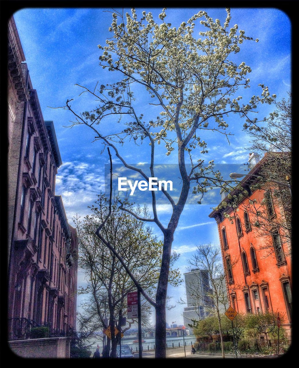 LOW ANGLE VIEW OF BUILDINGS AGAINST SKY