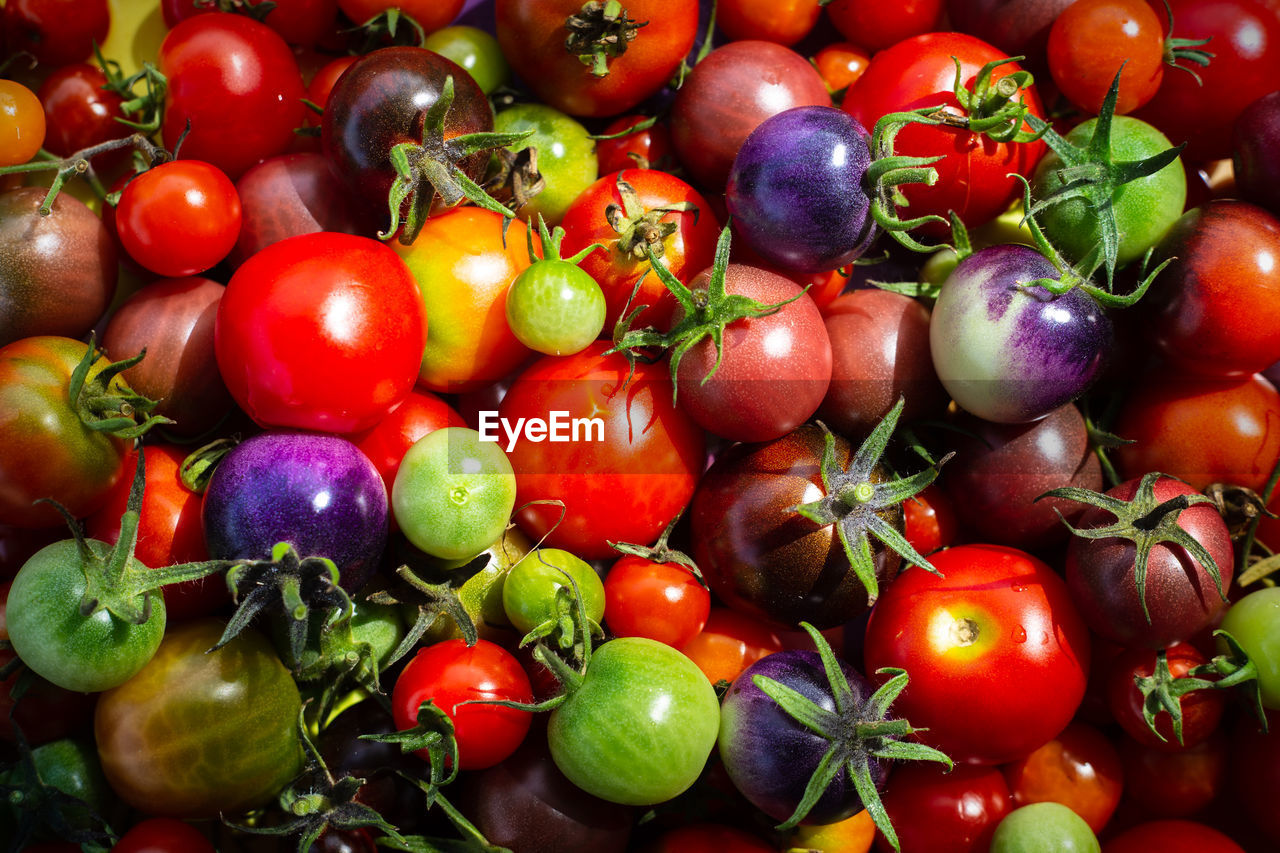 Various colorful organic cherry tomatoes, top view