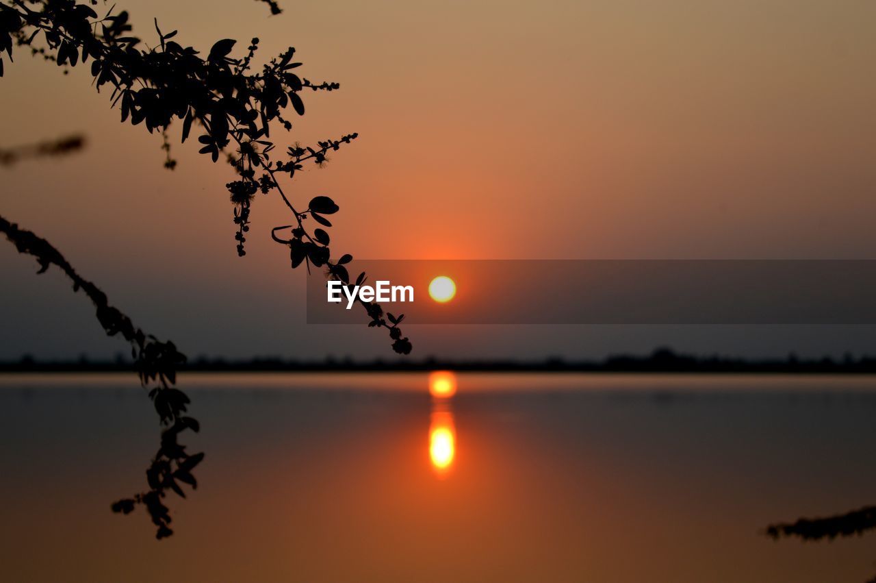 SILHOUETTE TREE BY LAKE AGAINST ORANGE SKY