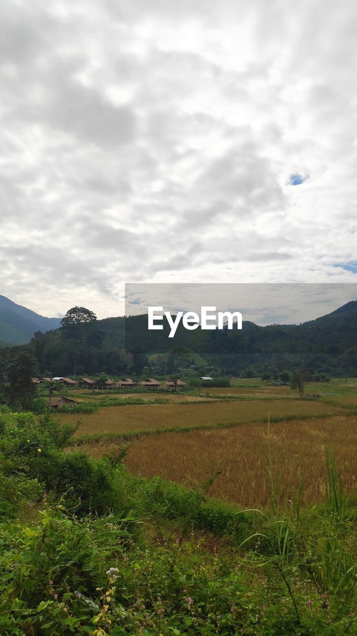 SCENIC VIEW OF LAND AGAINST SKY