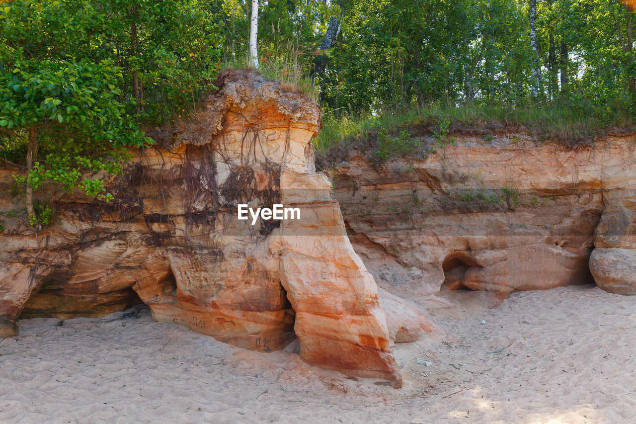 tree, plant, rock, nature, no people, land, day, rock formation, tranquility, beauty in nature, outdoors, non-urban scene, travel destinations, scenics - nature, growth, travel, environment, tranquil scene, geology