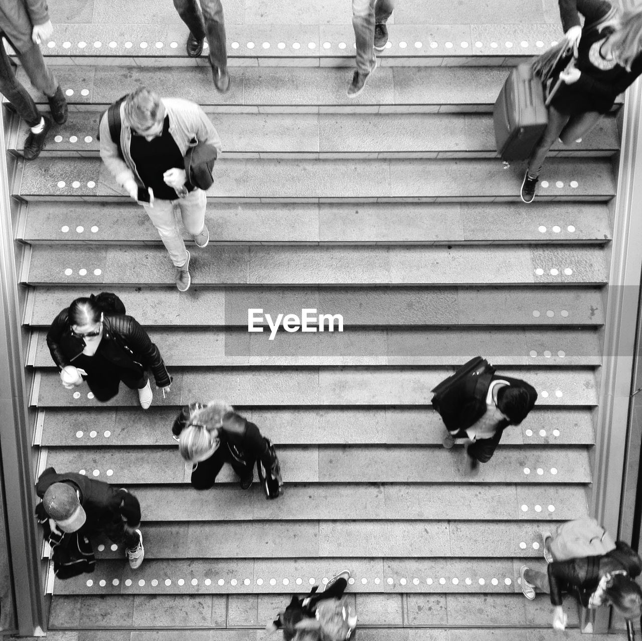 HIGH ANGLE VIEW OF DOGS ON STEPS