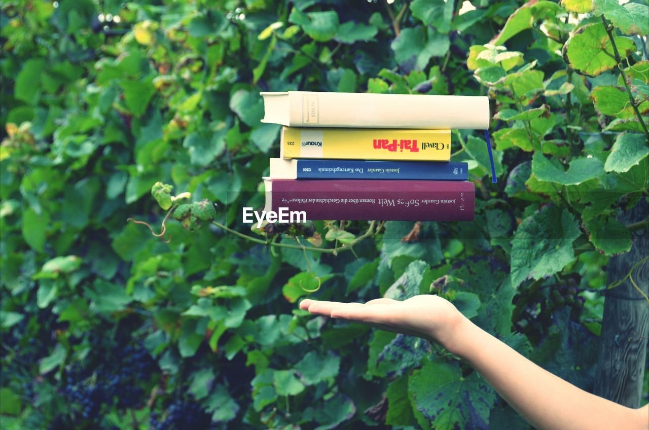 Hand under books levitating against plants