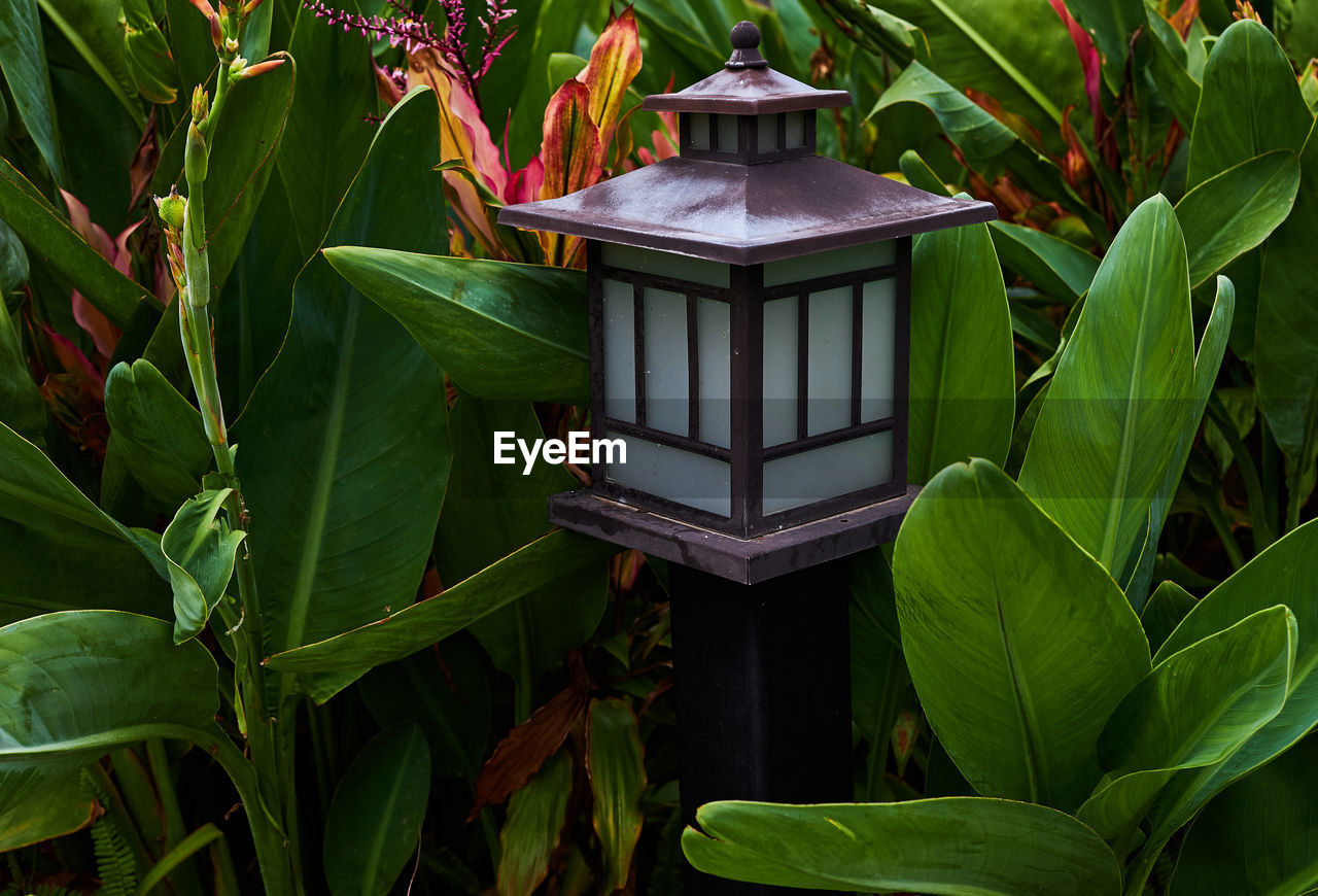 green, leaf, plant part, plant, jungle, garden, flower, nature, growth, no people, beauty in nature, outdoors, tropics, architecture, built structure, day, flowering plant