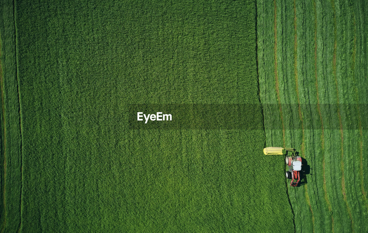 Powerful tractor working on bright green wheat field