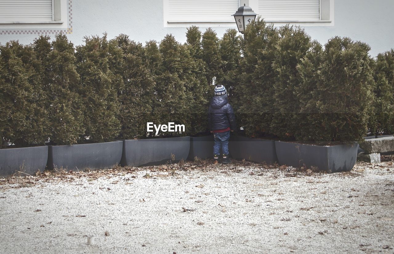 Full length rear view boy standing in yard