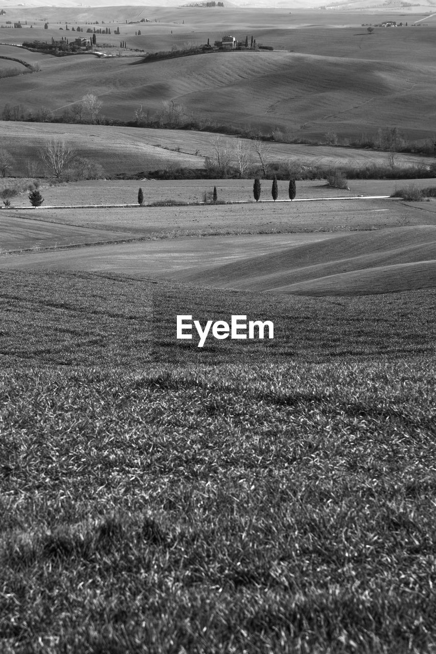 SCENIC VIEW OF AGRICULTURAL FIELD