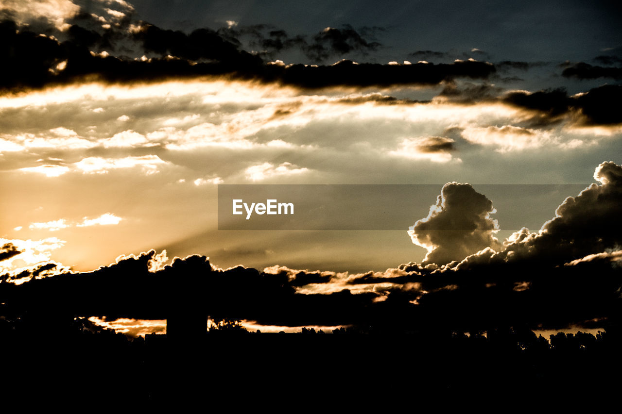 SILHOUETTE OF TREES AGAINST SKY AT SUNSET