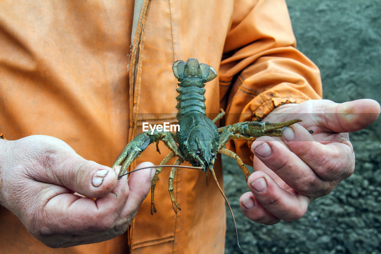 Midsection of man holding animal outdoors