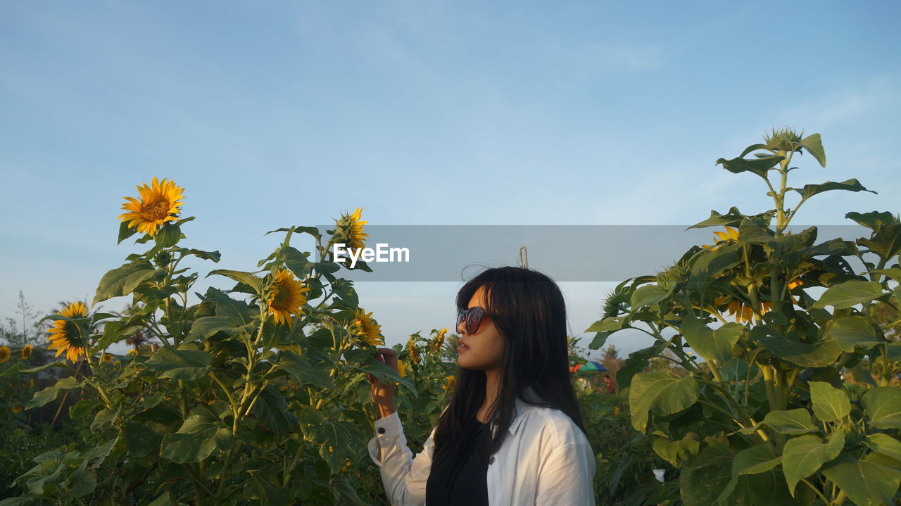 Woman standing by sunflower against sky