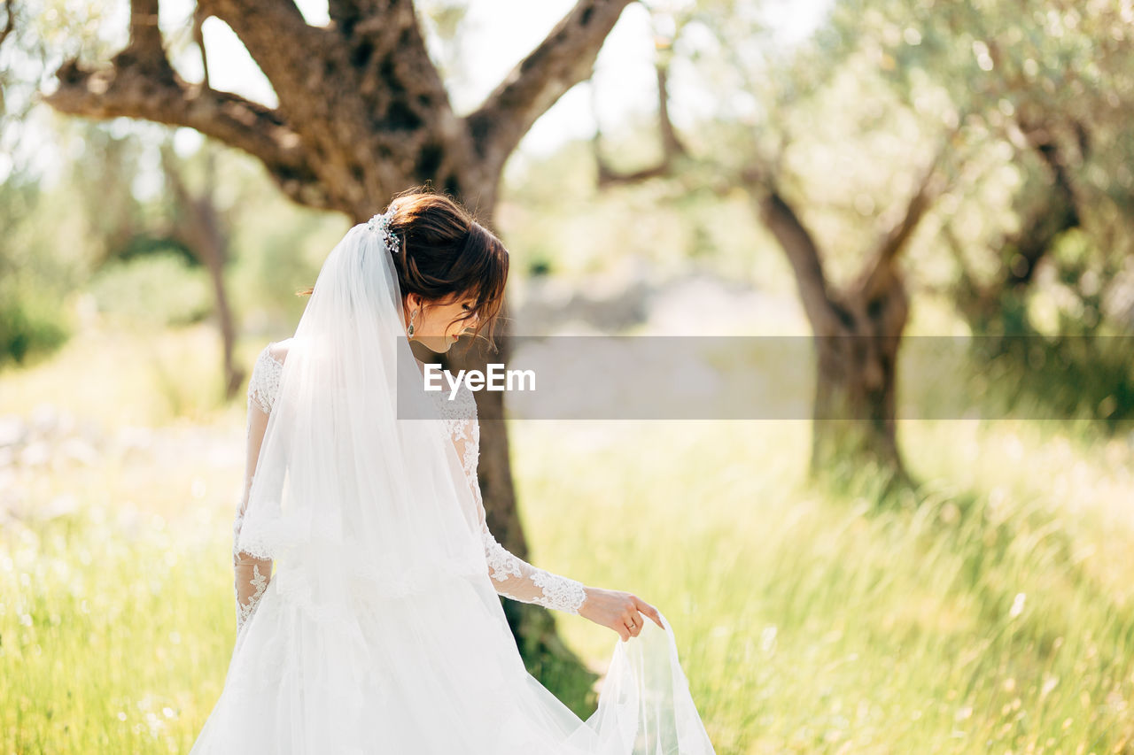 Rear view of bride standing against tree