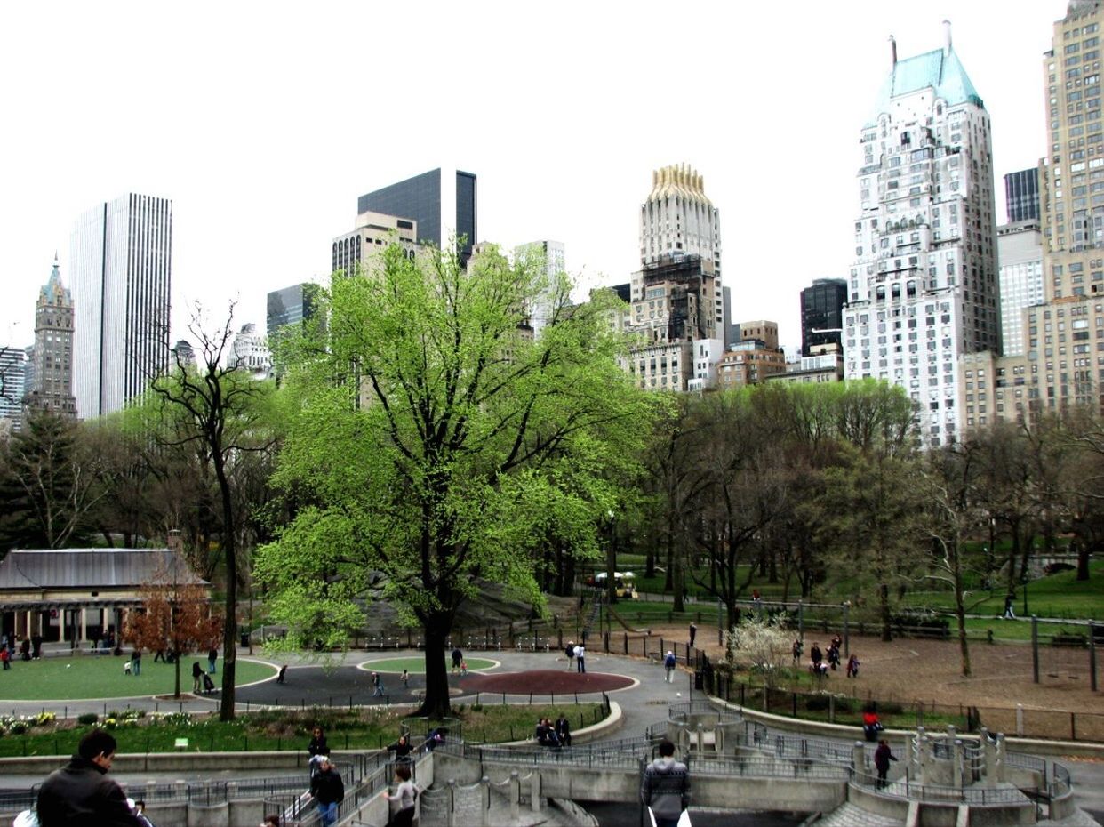 SKYSCRAPERS IN PARK