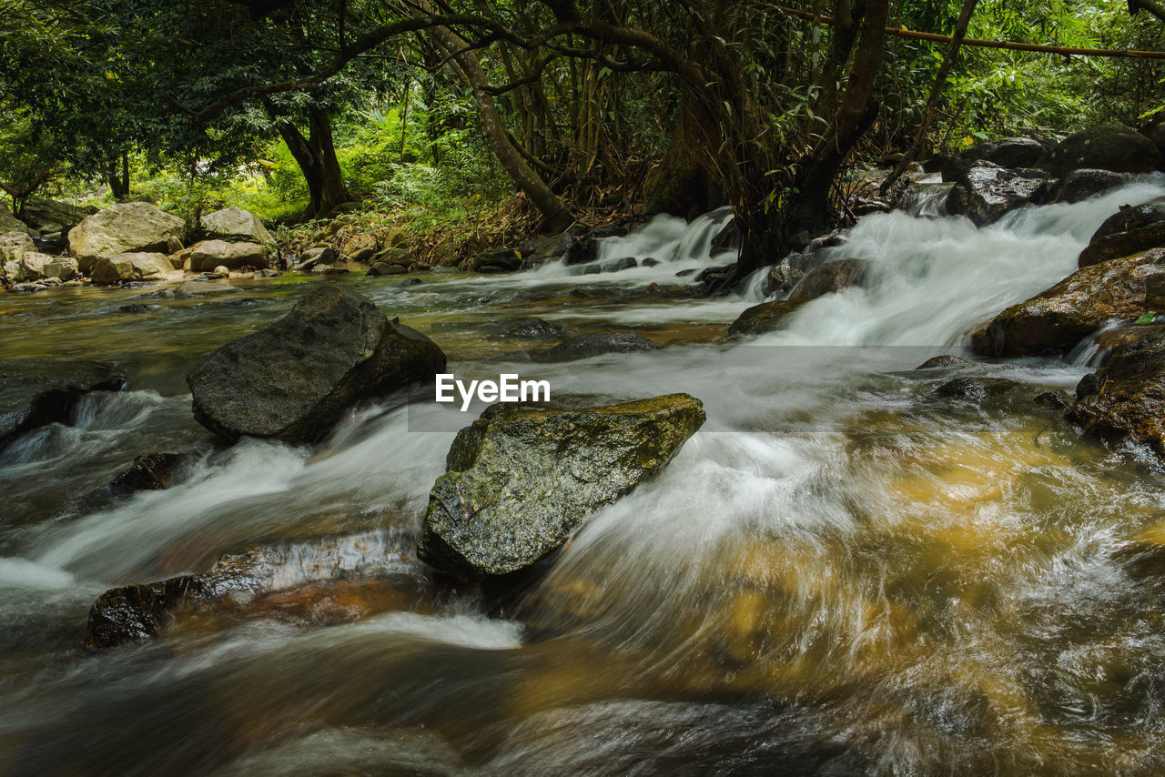 Scenic view of waterfall in forest