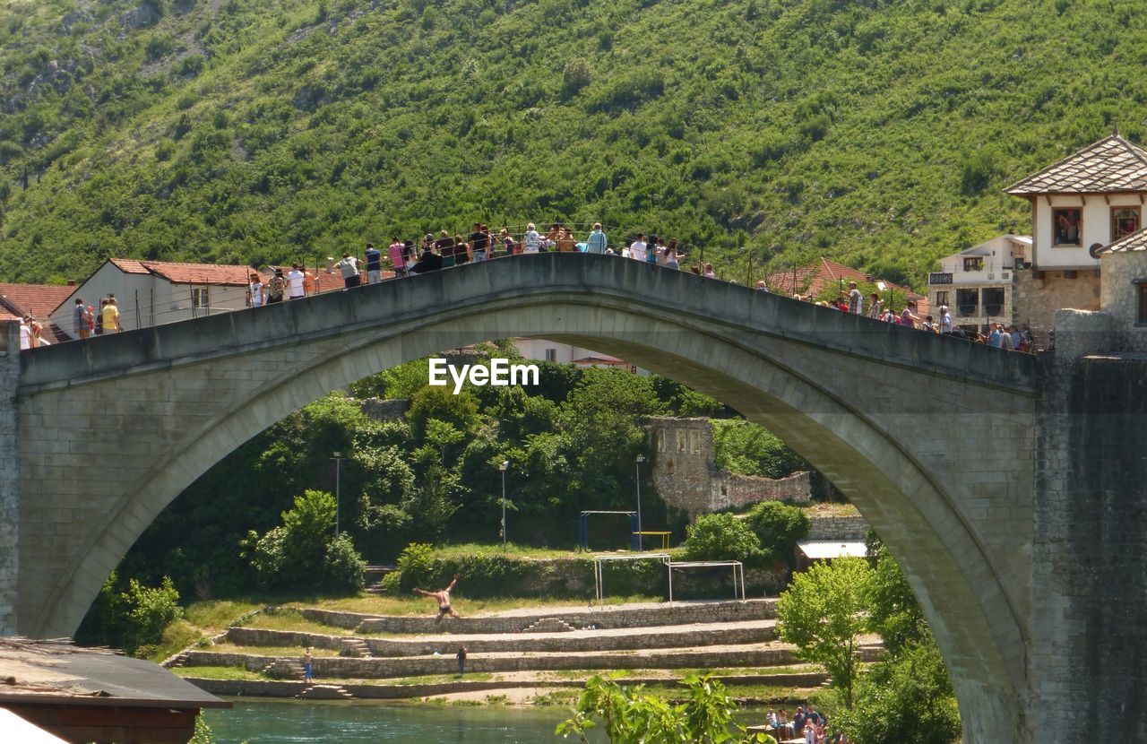 Bridge over trees by water