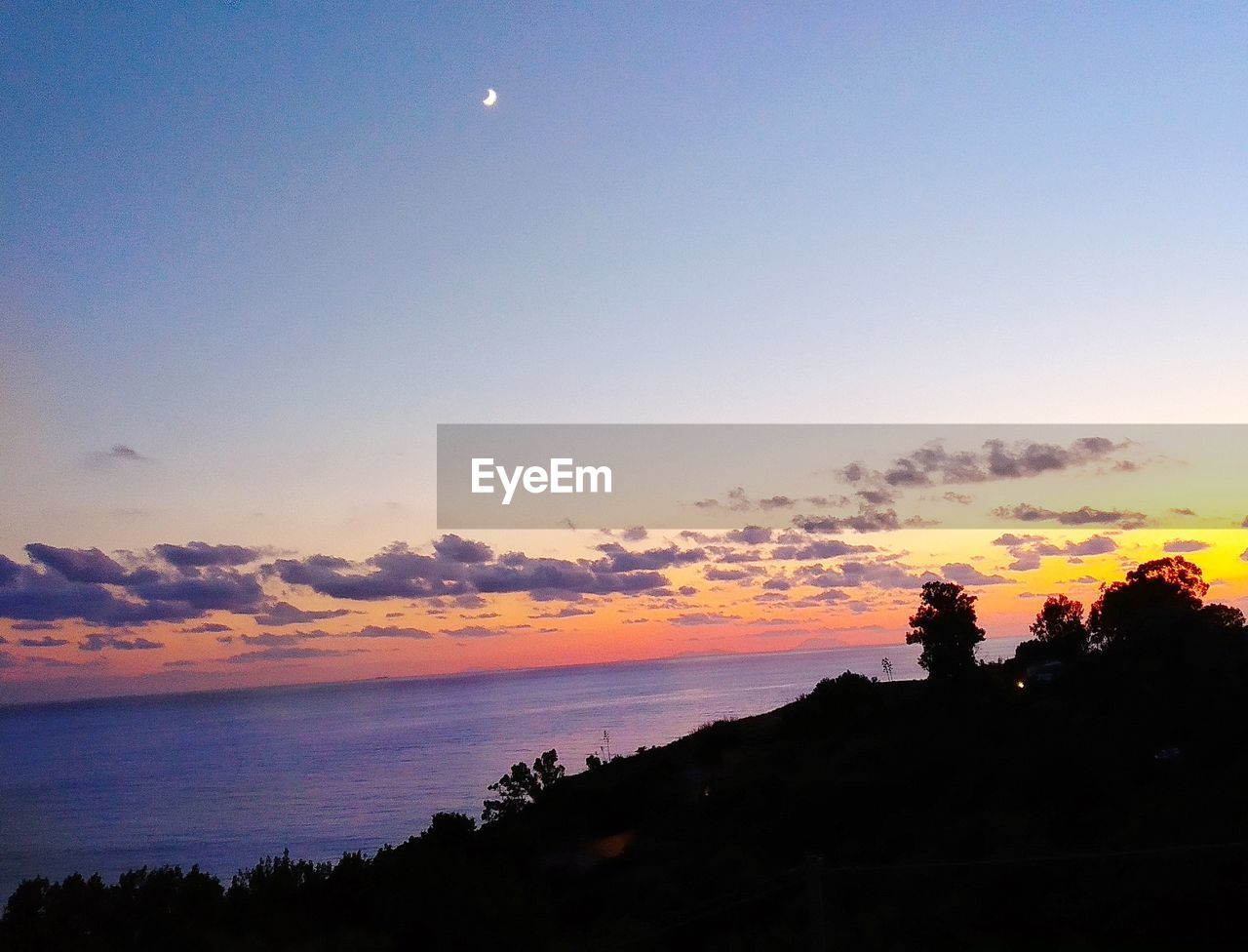 SCENIC VIEW OF SILHOUETTE TREES AGAINST ORANGE SKY