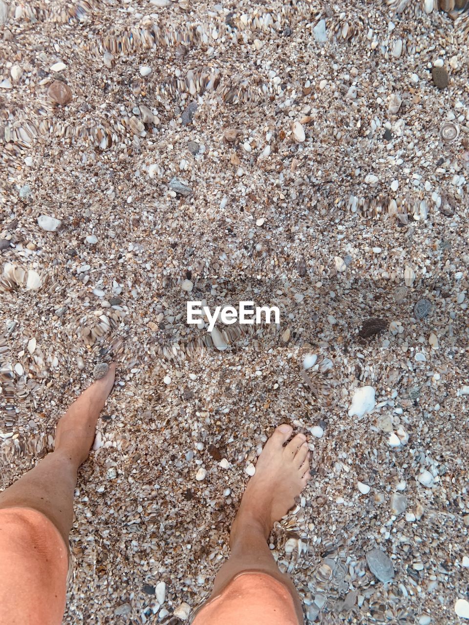 Low section of person standing on sand