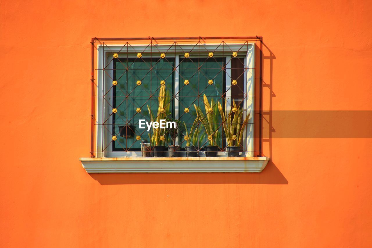 Potted plant on window sill of orange building