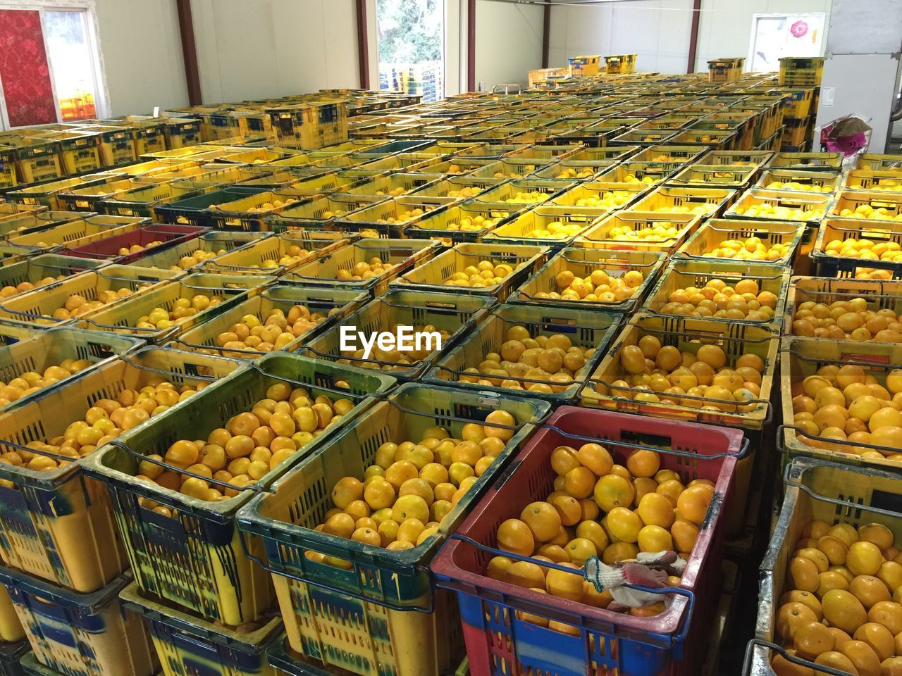 Variety of vegetables for sale