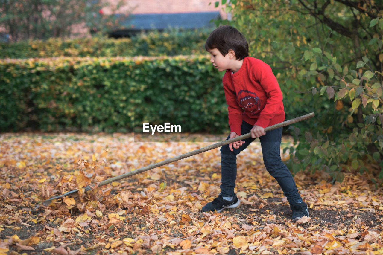 Full length of boy cleaning leaves on land