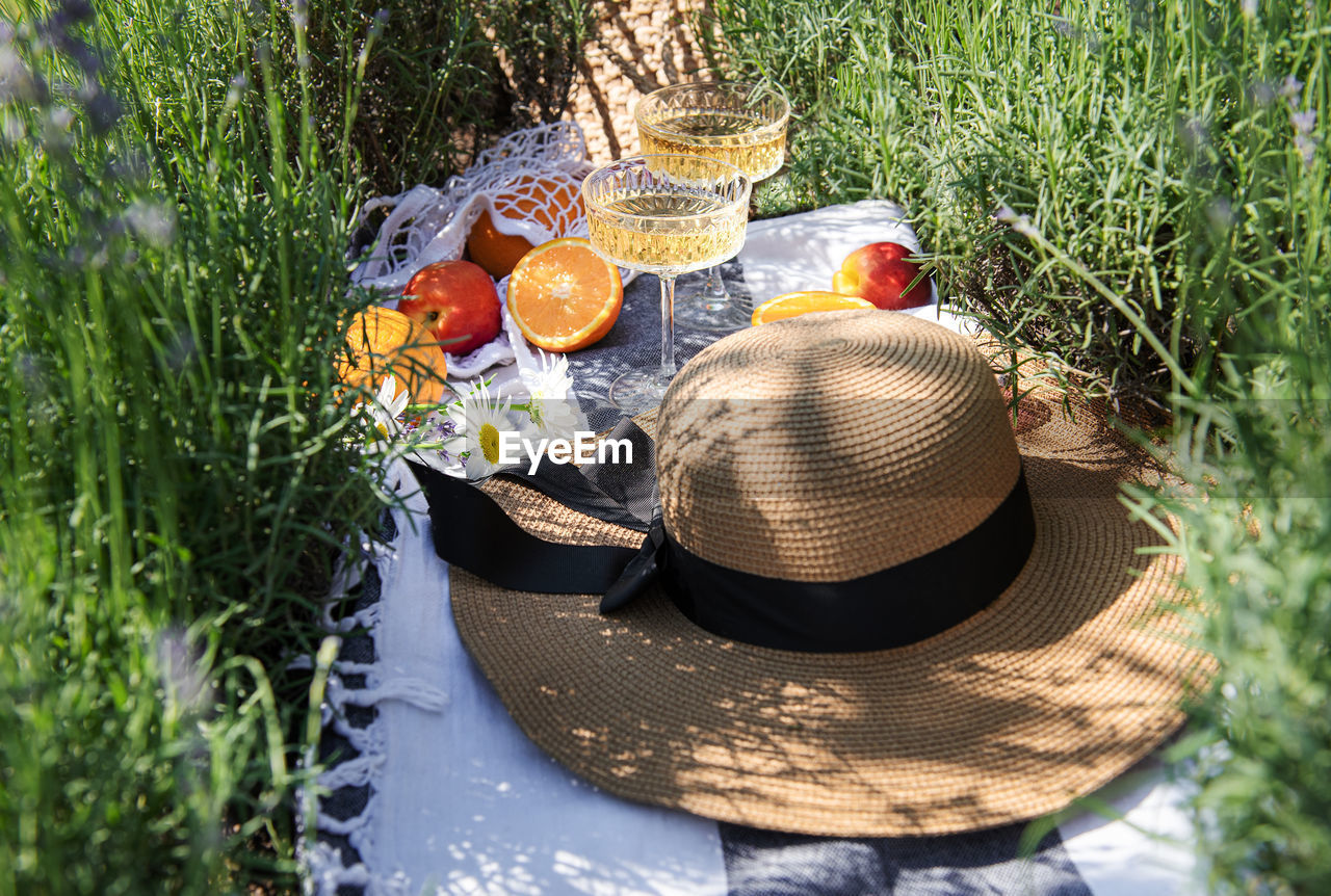 Summer picnic on a lavender field with champagne glasses and fruits