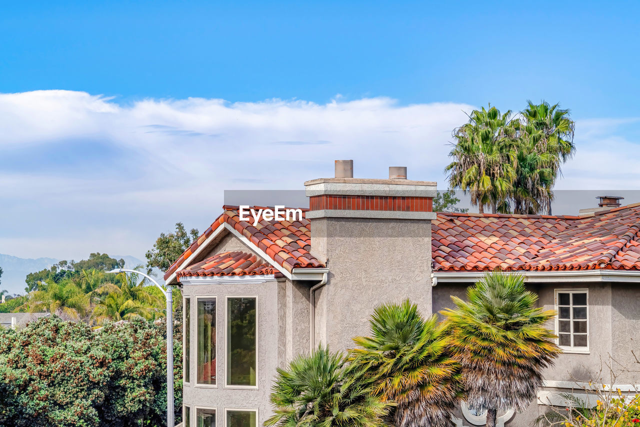 HOUSE AND PALM TREES BY PLANTS AGAINST SKY