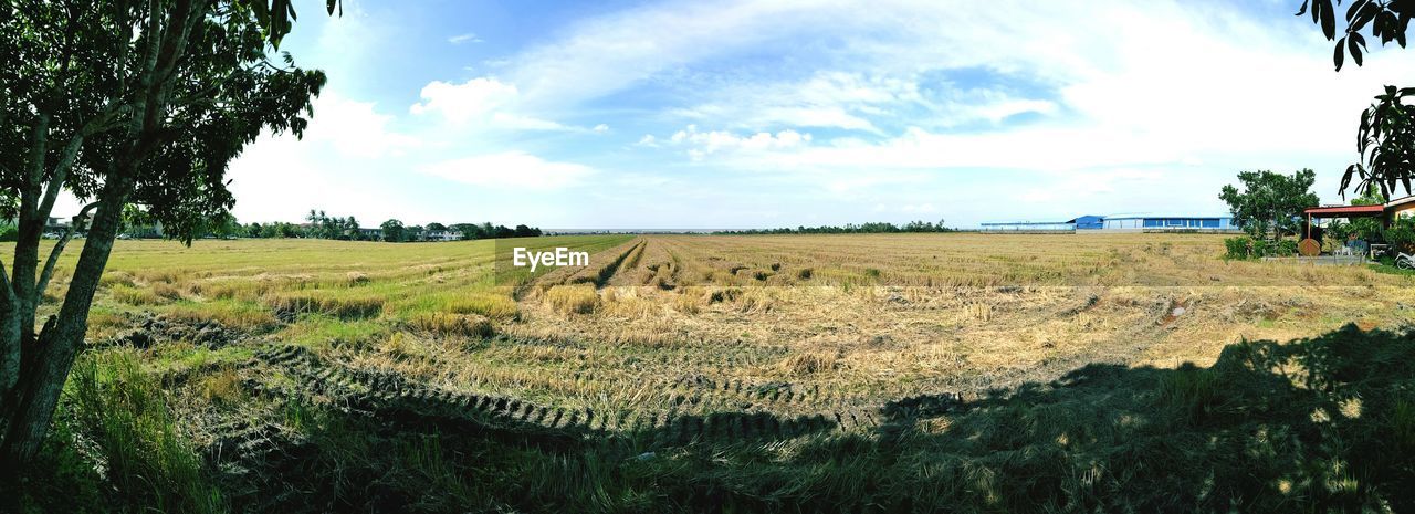 AGRICULTURAL FIELD AGAINST SKY