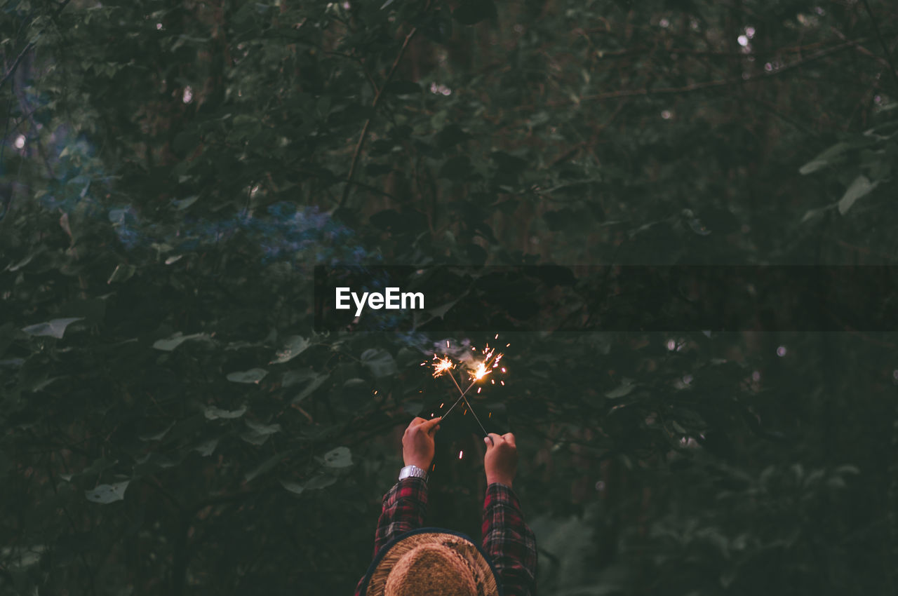 Rear view of woman holding sparklers in forest