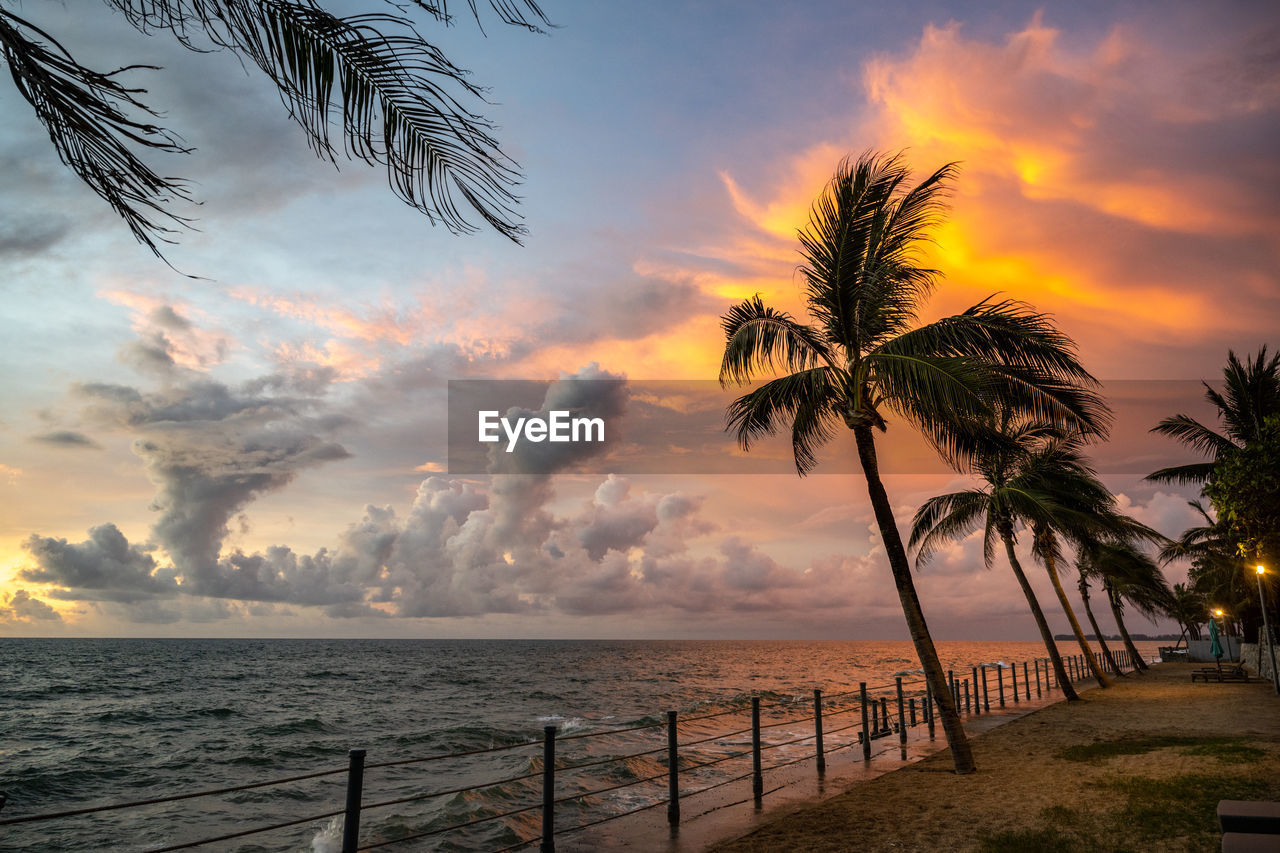 PALM TREES ON BEACH AGAINST SKY DURING SUNSET