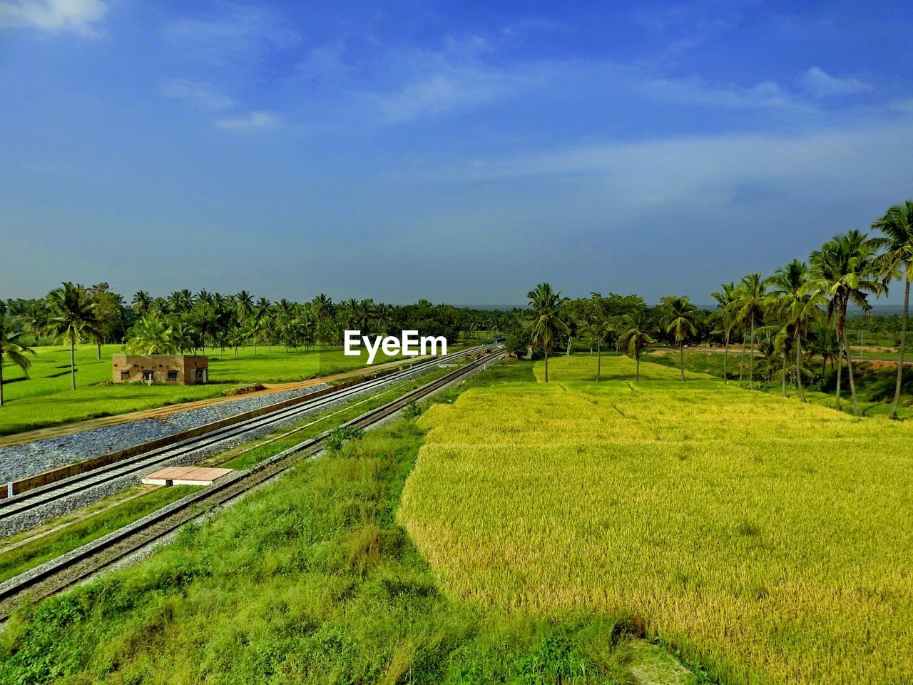 Railroad track on green landscape against sky