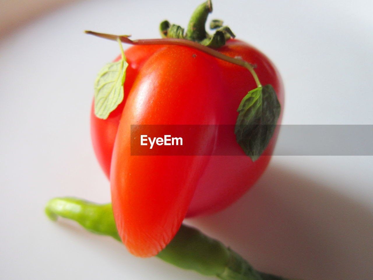 CLOSE-UP OF RED TOMATO